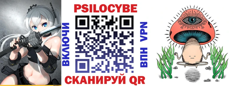 OMG   Константиновск  Галлюциногенные грибы Psilocybe 